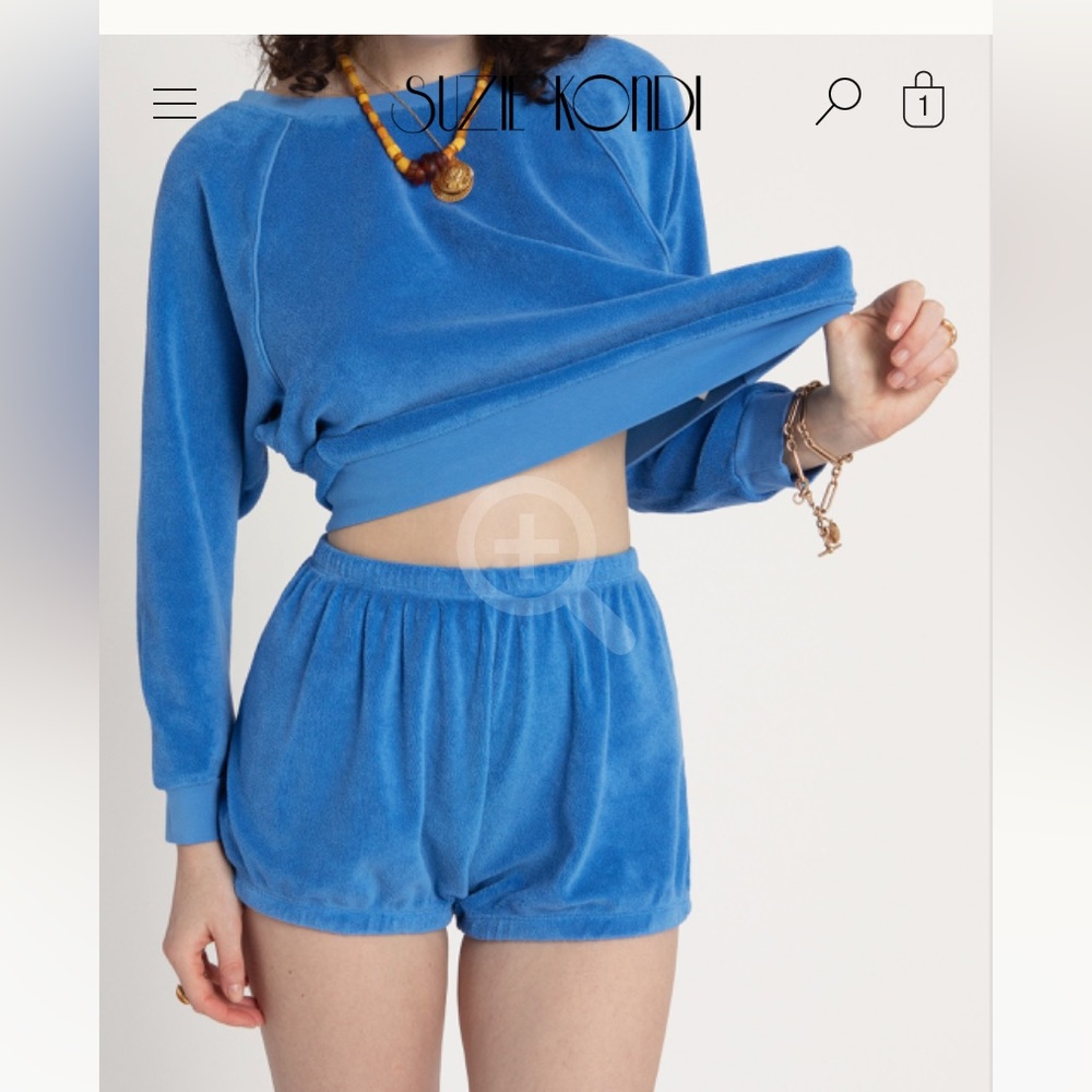 Suzi Kondi Blue Velvet Pullover Sweatshirt